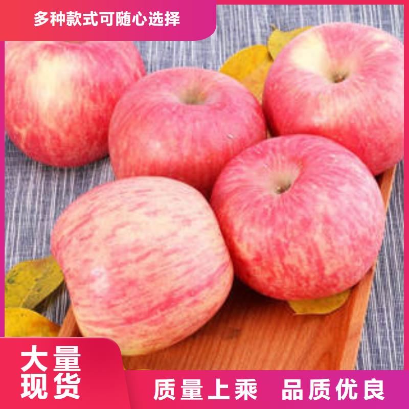 【红富士苹果】红富士苹果批发厂家直销供货稳定