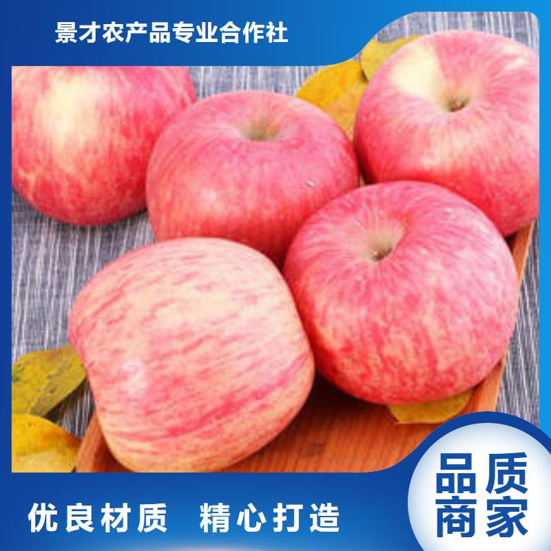 红富士苹果苹果种植基地好品质用的放心