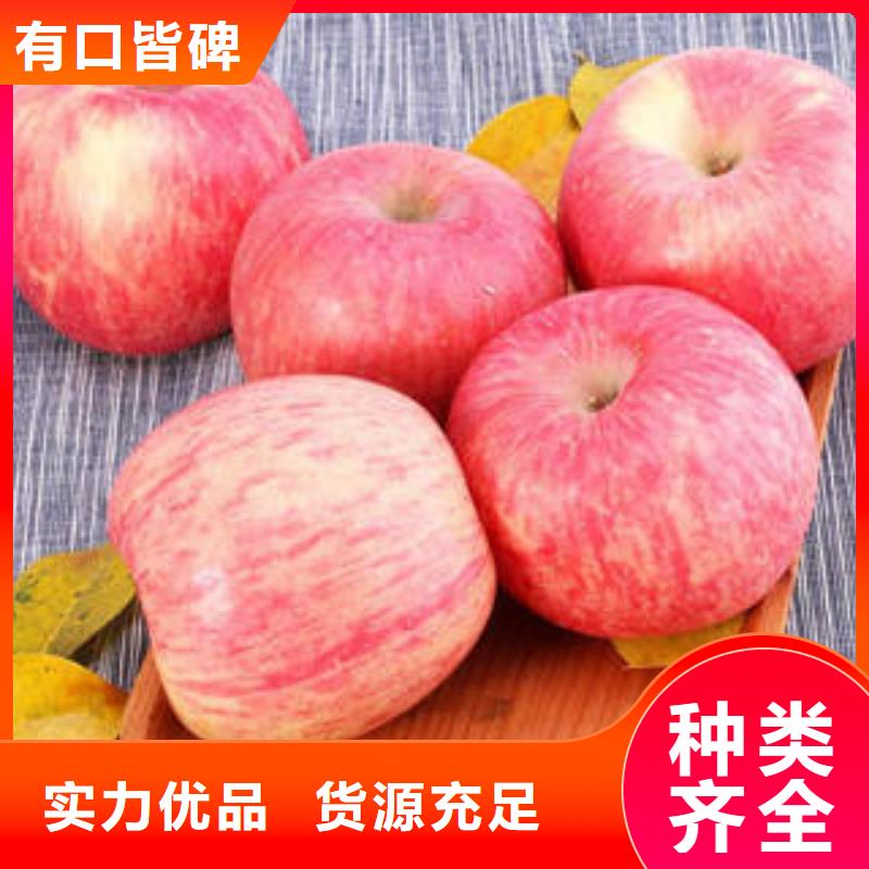 红富士苹果产品优良