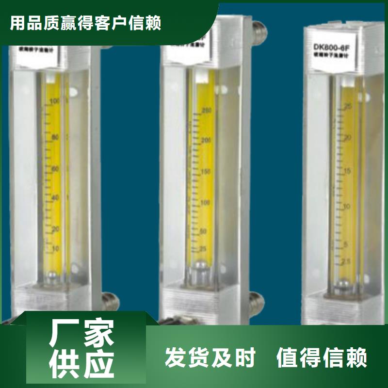 |宝兴|雨城|遂宁|甘孜|眉山|乐山|资阳|德阳{瑞明}【 DK800_空气流量计专业生产厂家】