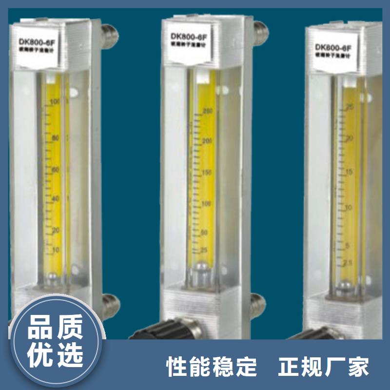 |宝兴|雨城|遂宁|甘孜|眉山|乐山|资阳|德阳{瑞明}【 DK800_空气流量计专业生产厂家】