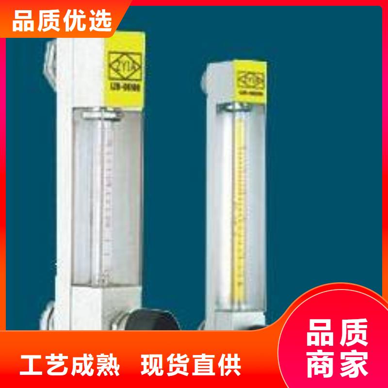 |宝兴|雨城|遂宁|甘孜|眉山|乐山|资阳|德阳{瑞明}【 DK800_空气流量计专业生产厂家】