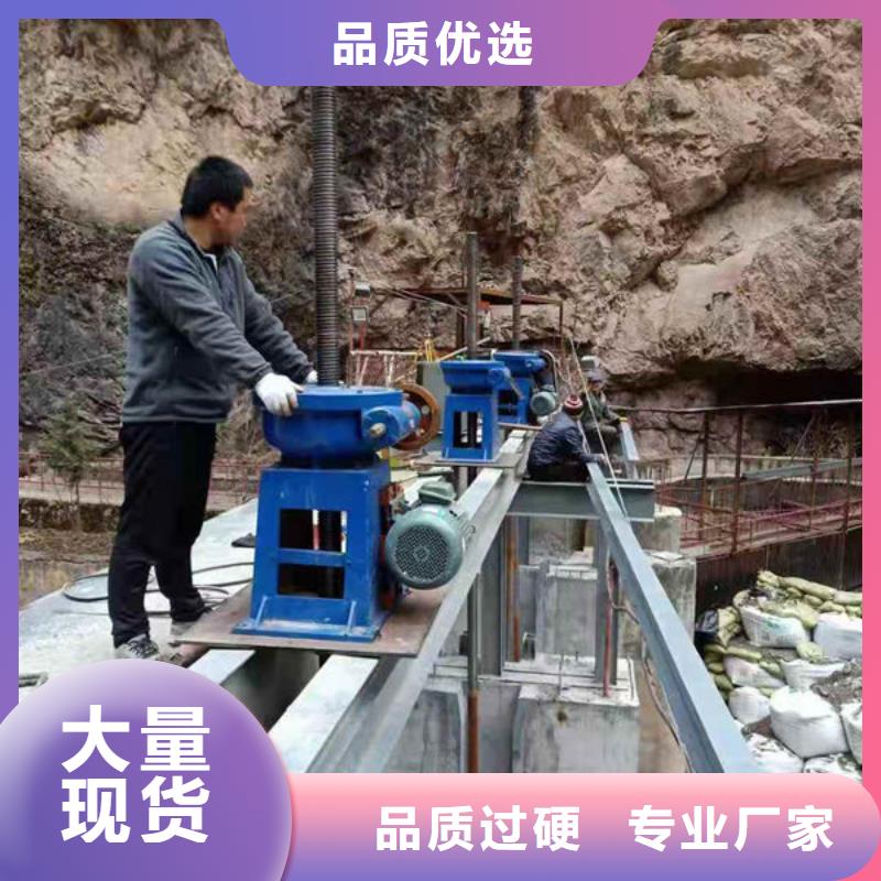 螺杆式启闭机侧摇启闭机用心做好每一件产品