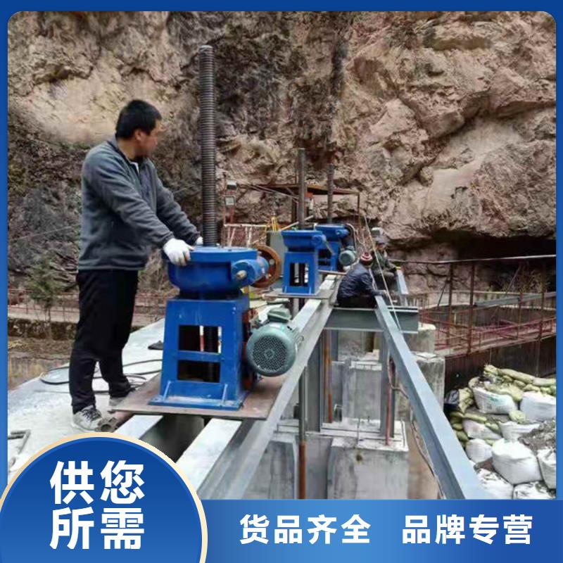 螺杆式启闭机_螺杆启闭机厂诚信经营