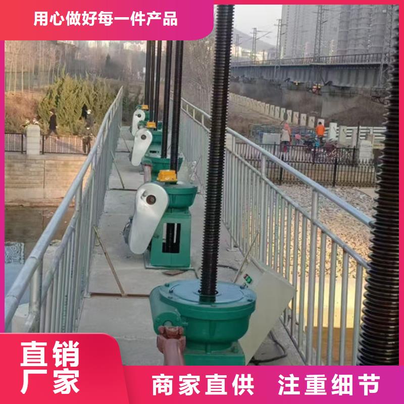 螺杆式启闭机侧摇启闭机用心做好每一件产品