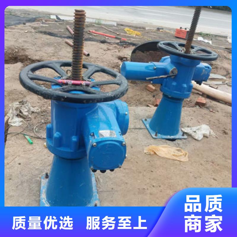 螺杆式启闭机_侧摇启闭机价格实在