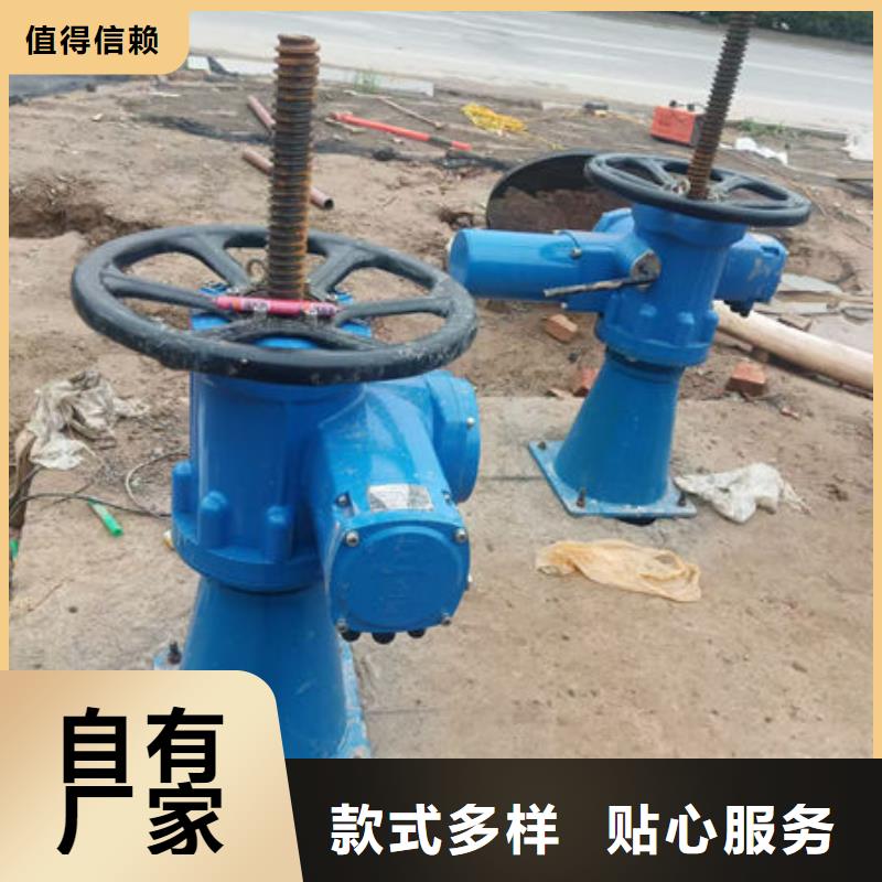 螺杆式启闭机直联式启闭机N年大品牌