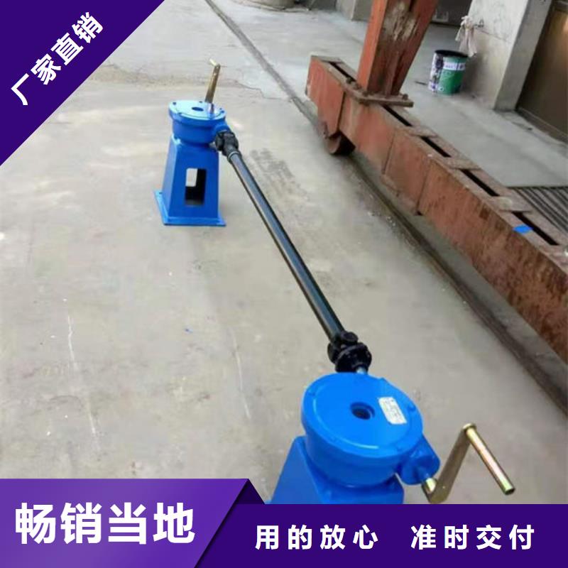 螺杆式启闭机直联式启闭机N年大品牌