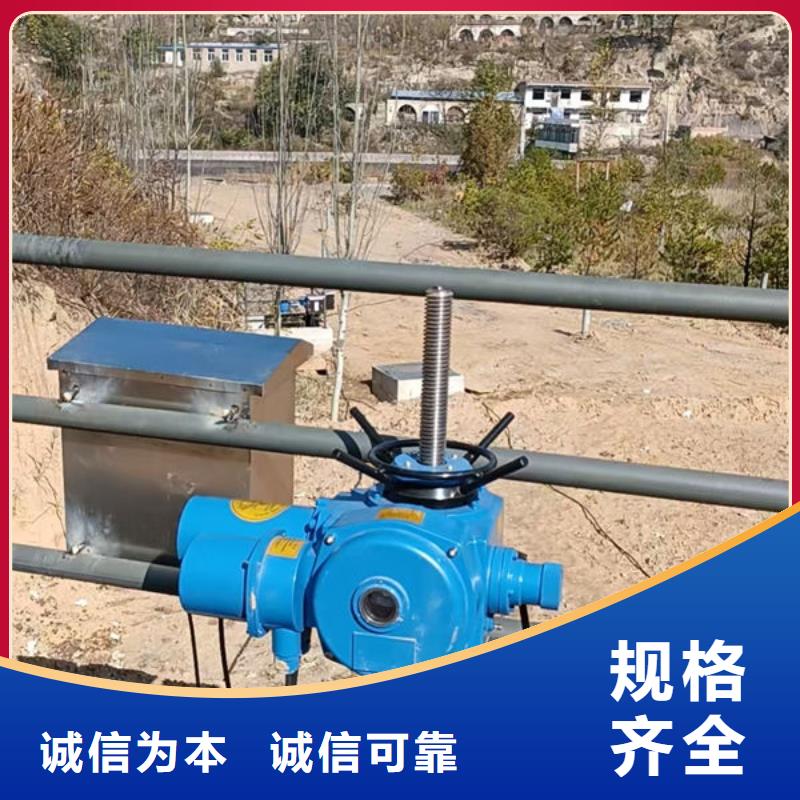 螺杆式启闭机启闭机闸门工期短发货快