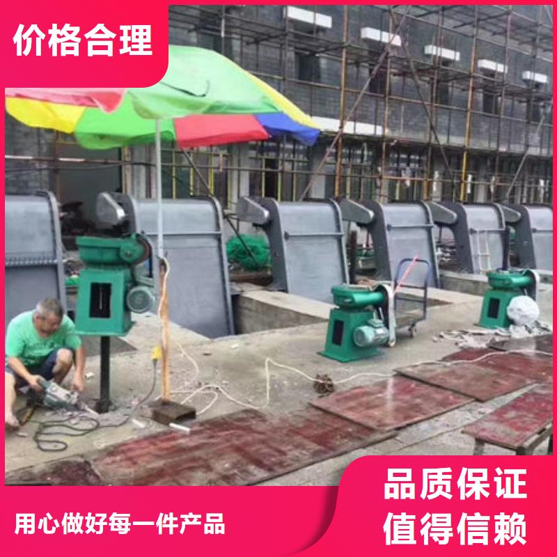螺杆式启闭机_斜拉式启闭机可定制有保障