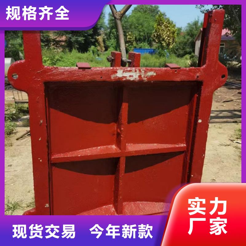 铸铁闸门,铸铁拍门随心所欲定制