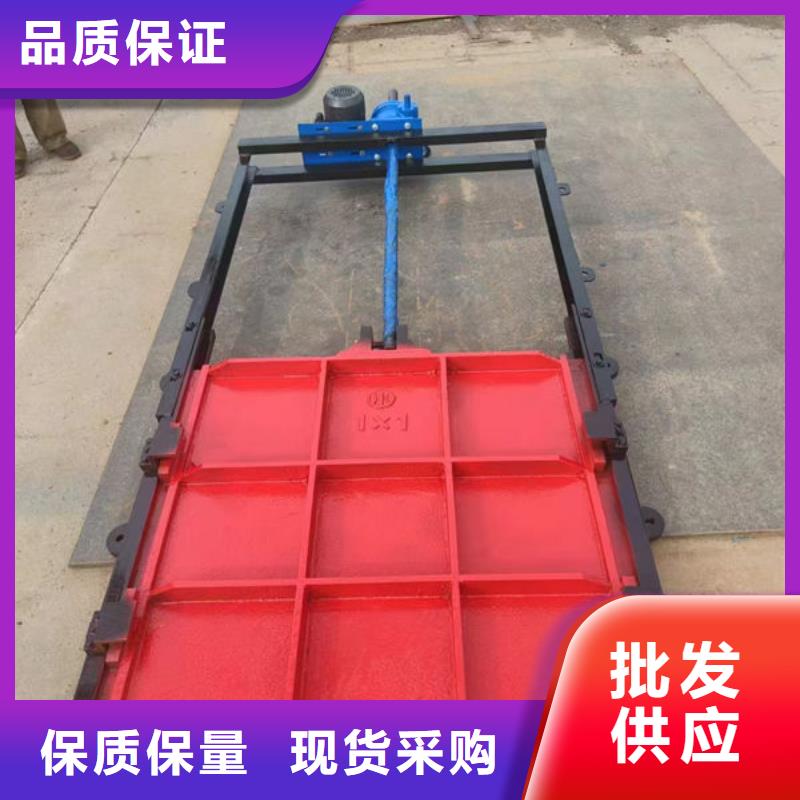 铸铁闸门复合闸门拥有多家成功案例