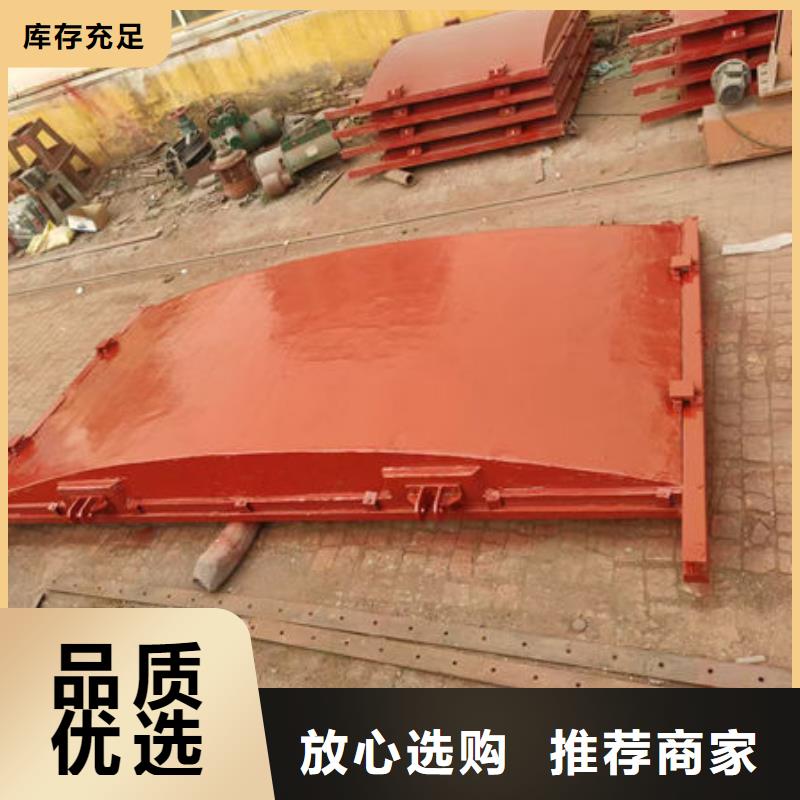 铸铁闸门扇形闸门支持加工定制