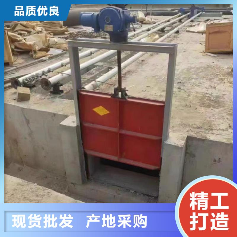 铸铁闸门一体式闸门诚信经营