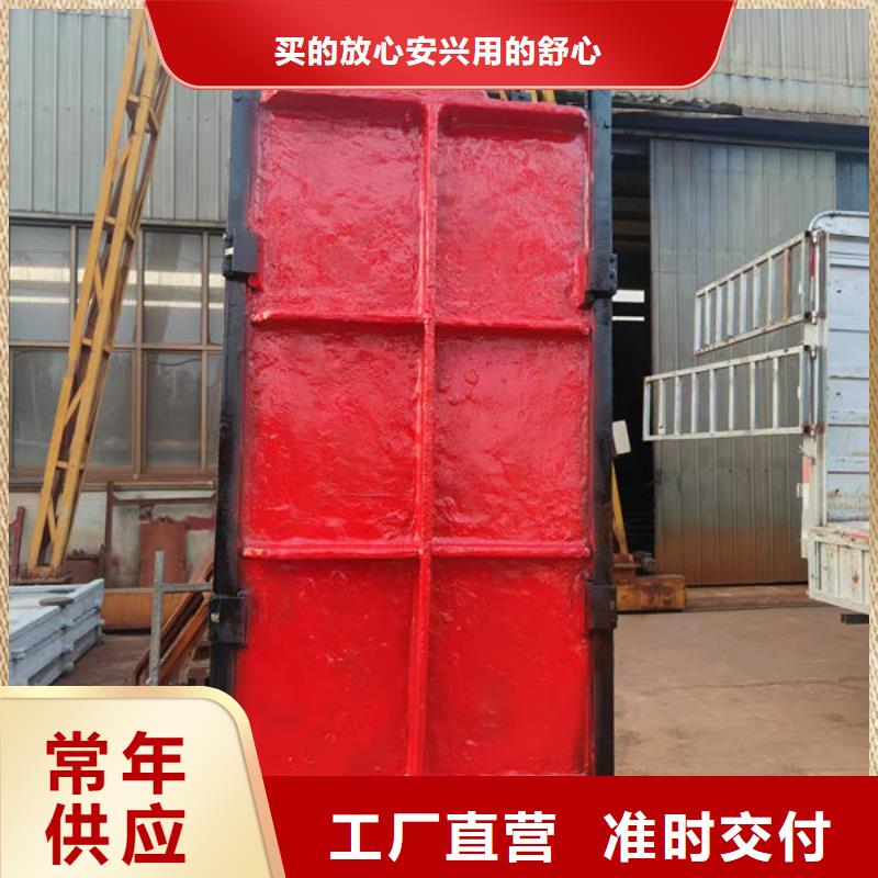铸铁闸门镶铜铸铁闸门支持非标定制