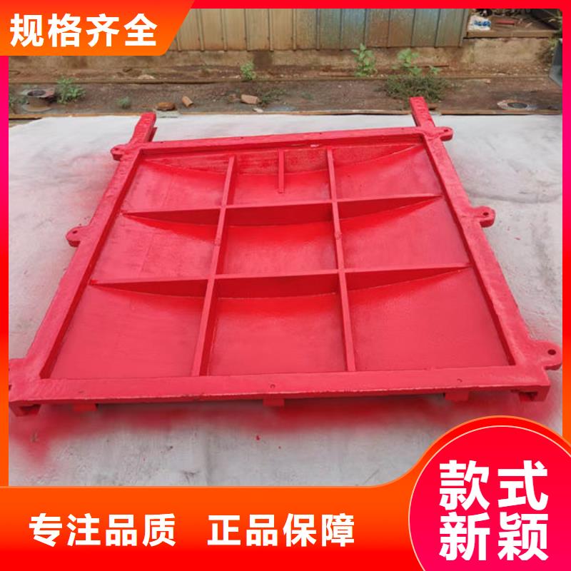 铸铁闸门扇形闸门服务始终如一