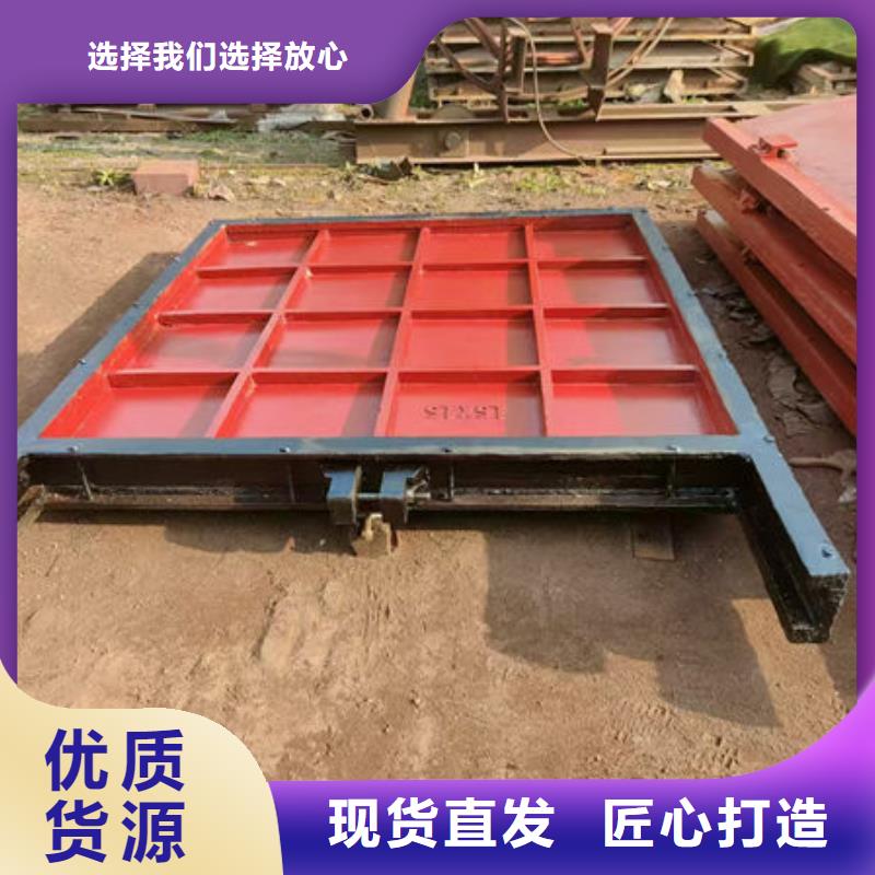 铸铁闸门复合闸门拥有多家成功案例