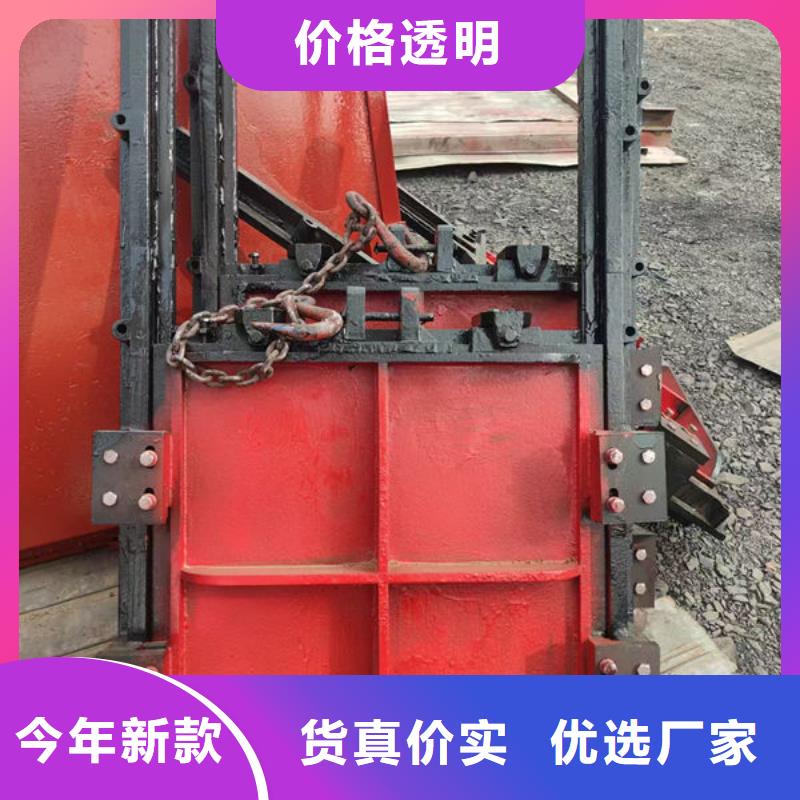 铸铁闸门扇形闸门服务始终如一