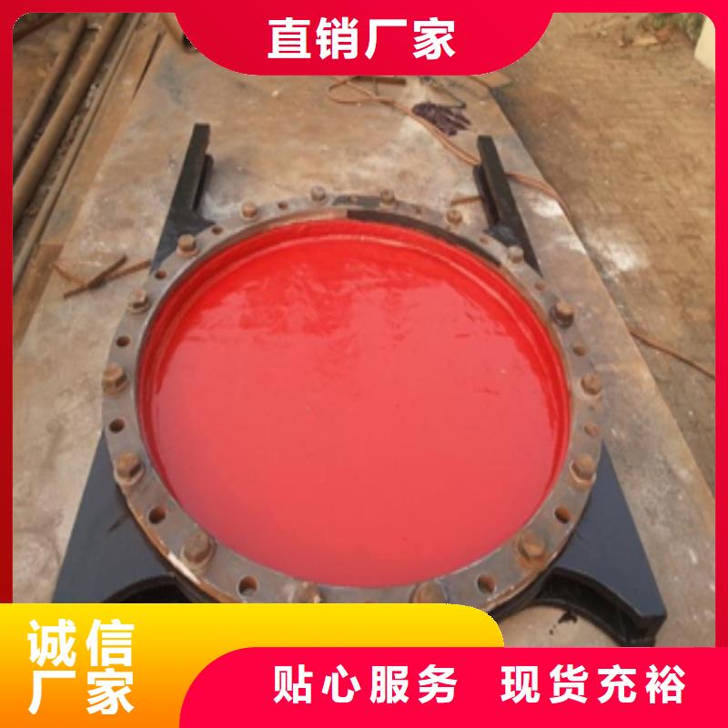 《南浔》【本地】铸铁闸门复合闸门批发价格