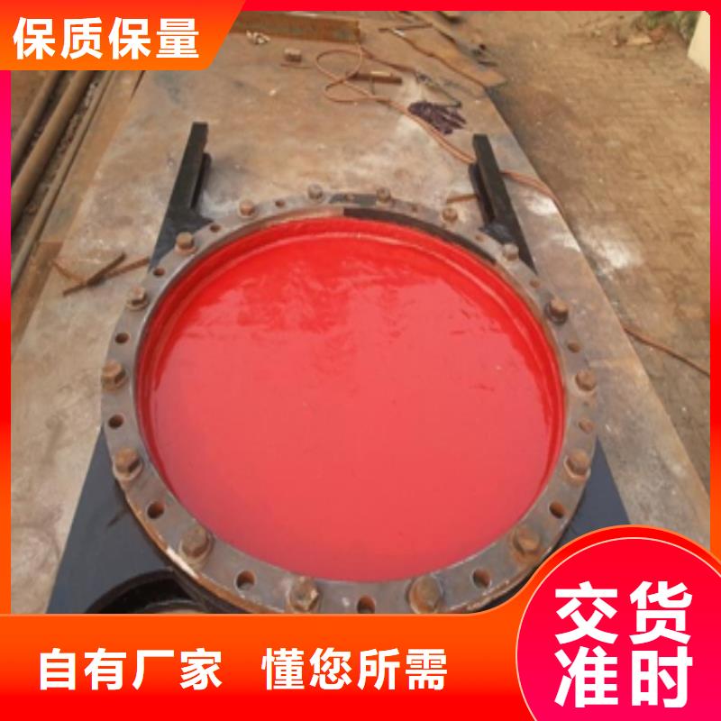 南浔【当地】铸铁闸门复合闸门批发价格