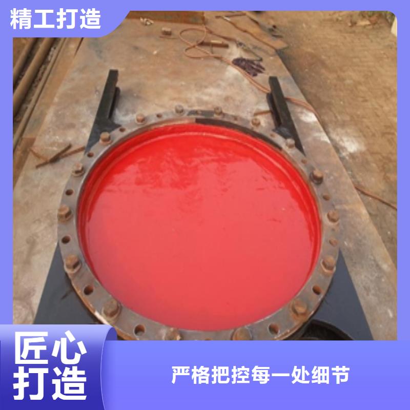 <南浔> 本地 铸铁闸门复合闸门批发价格