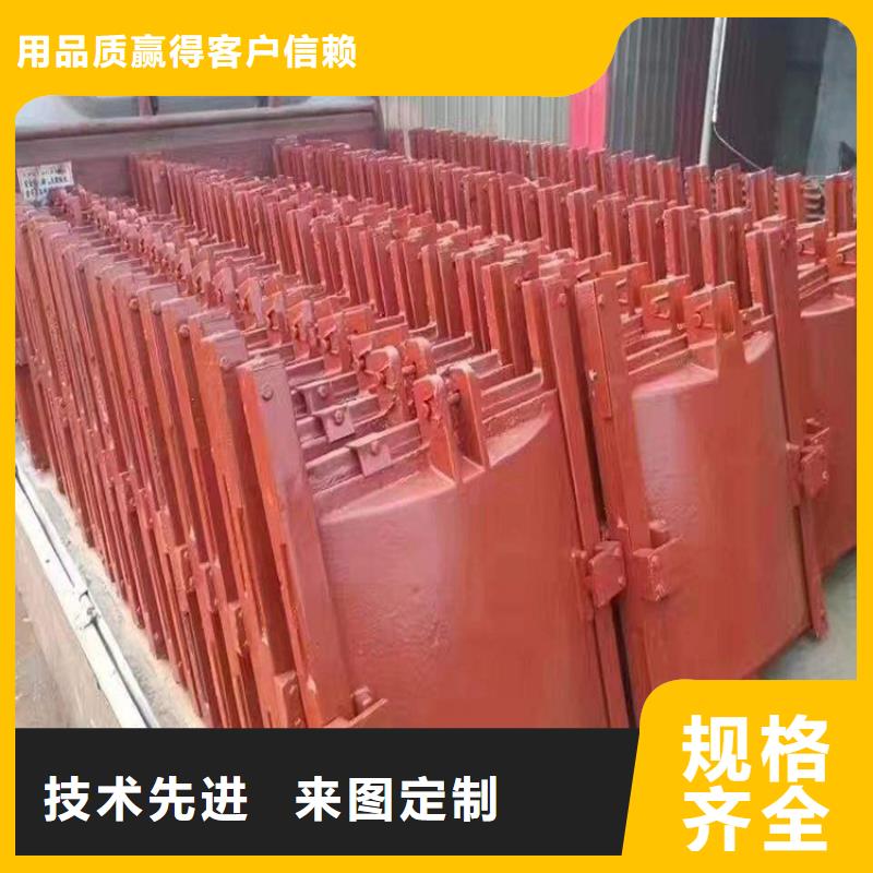 《南浔》【本地】铸铁闸门复合闸门批发价格