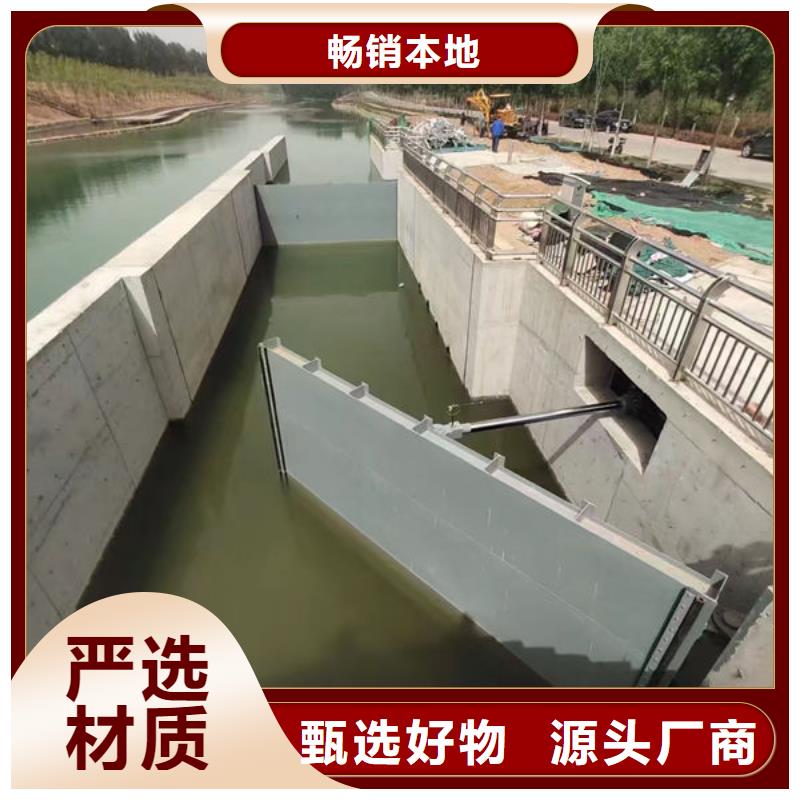 钢坝闸门自动抓梁品质商家