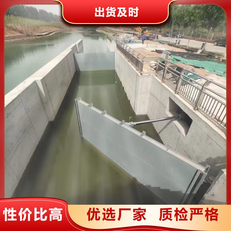 钢坝闸门底轴液压闸门支持货到付清