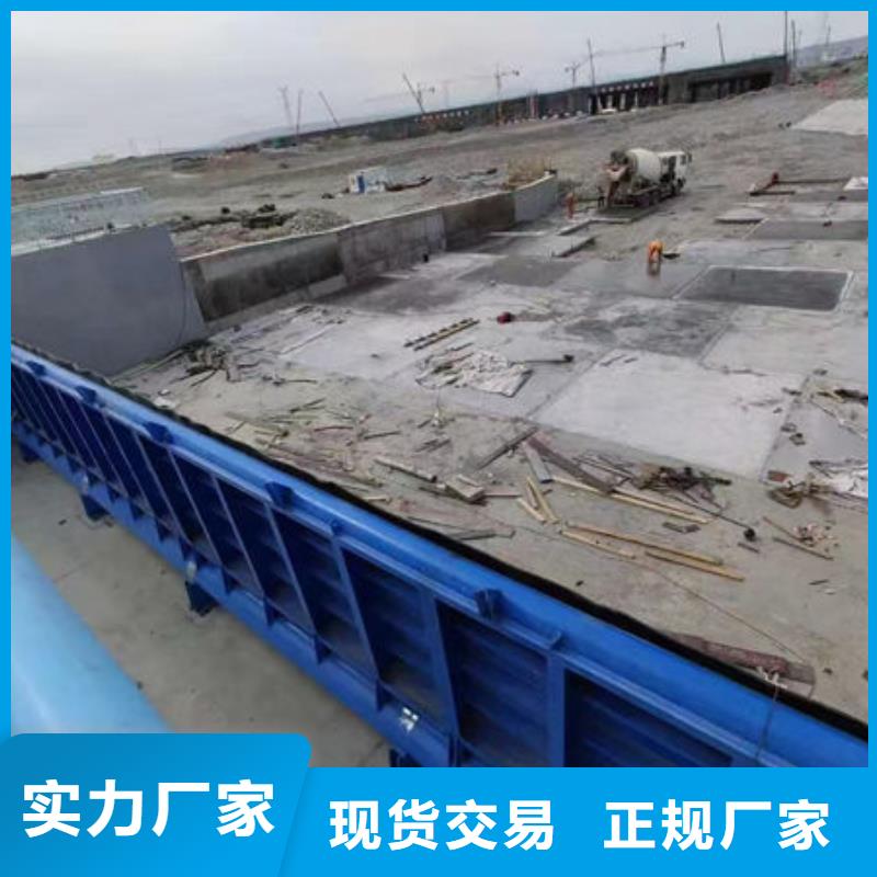 钢坝闸门钢制拍门精工打造