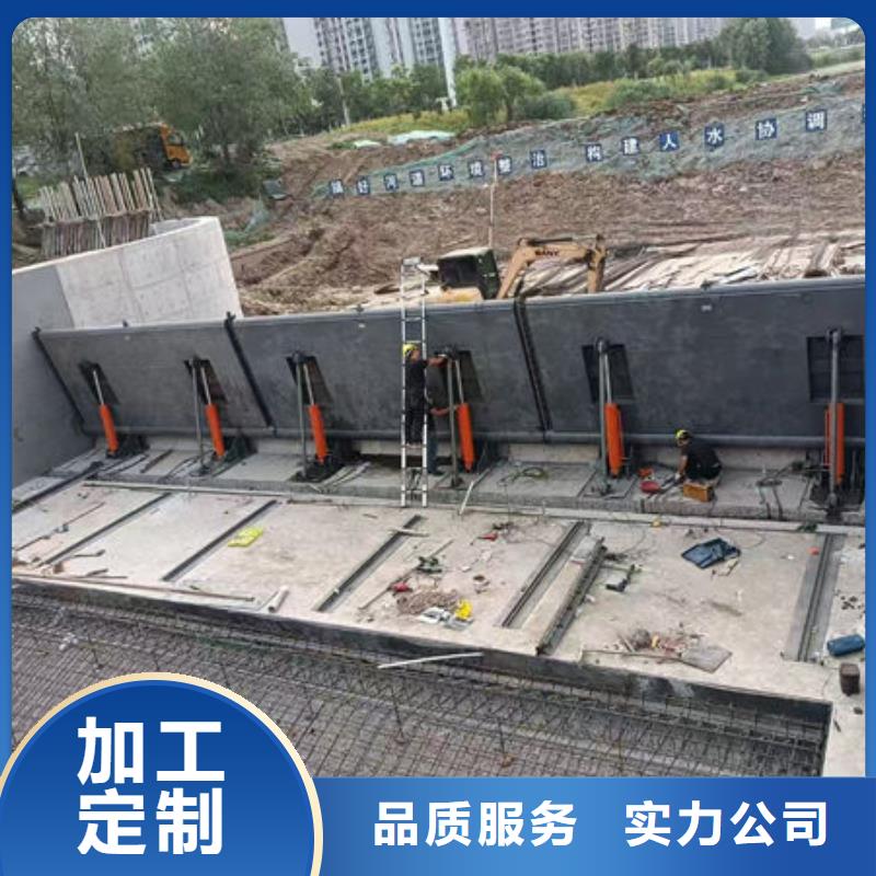 钢坝闸门_平板钢闸门来图定制