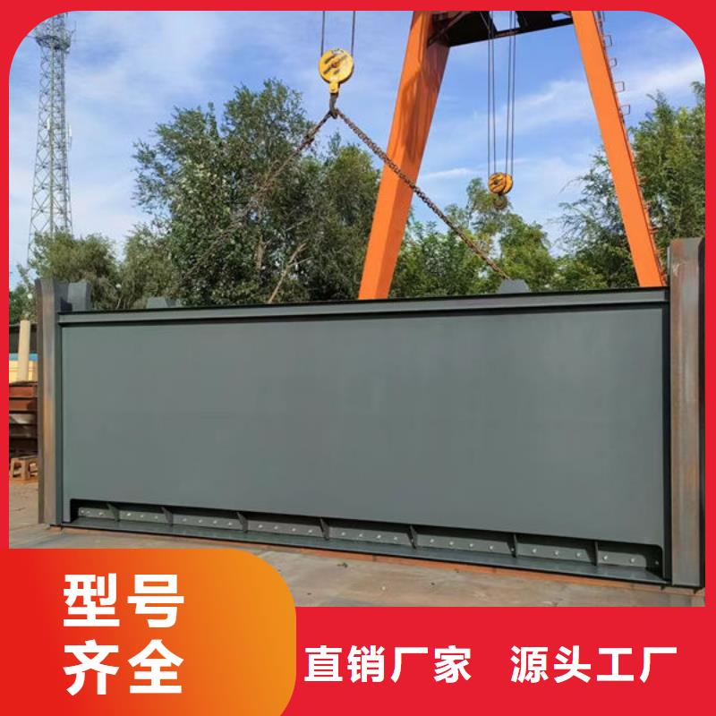 钢坝闸门自动抓梁质检严格