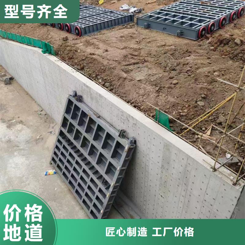 钢坝闸门底轴液压闸门支持货到付清