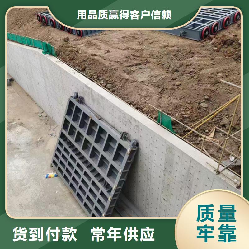 钢坝闸门-液压升降坝专业设计