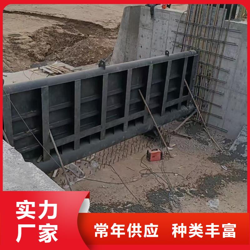 钢坝闸门钢制拍门甄选好厂家