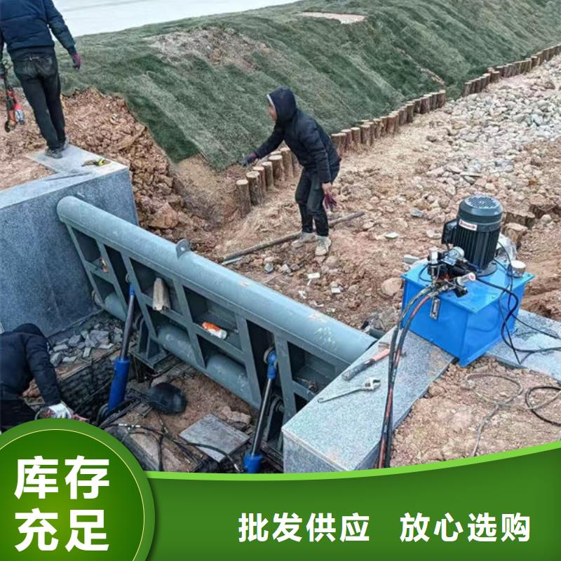 汪清 本地 钢坝闸门钢制拍门厂家直营