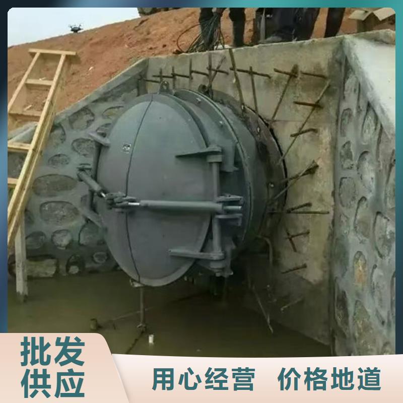 拍门防倒灌拍门一周内发货