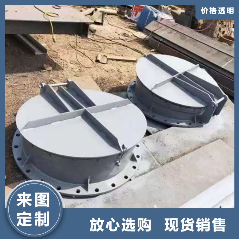 拍门球墨铸铁拍门厂家直销规格多样