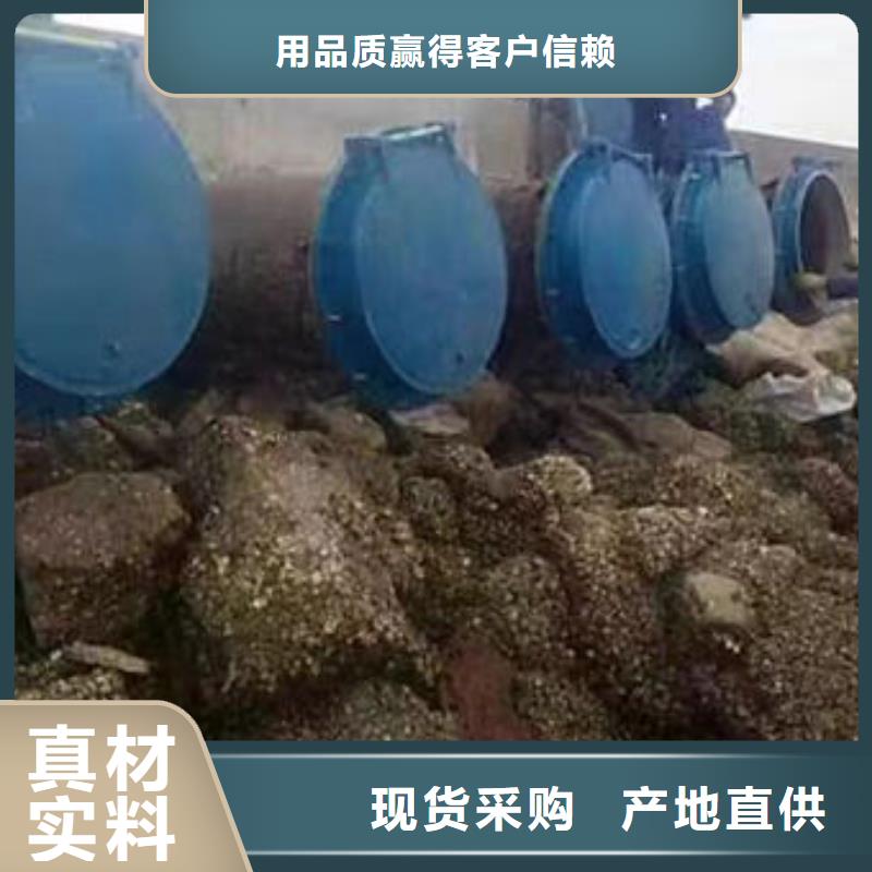 拍门球墨铸铁拍门工期短发货快
