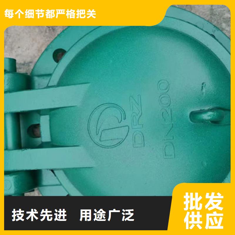 拍门钢制拍门讲信誉保质量
