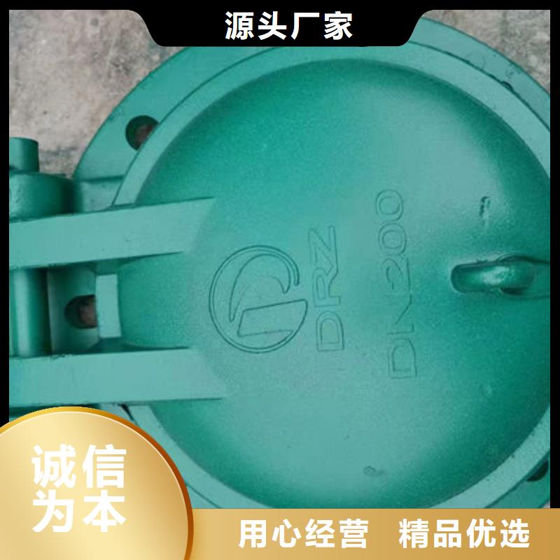 拍门圆拍门现货快速采购