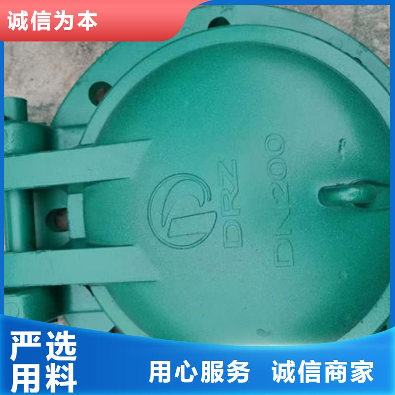 拍门,防倒灌拍门专业品质