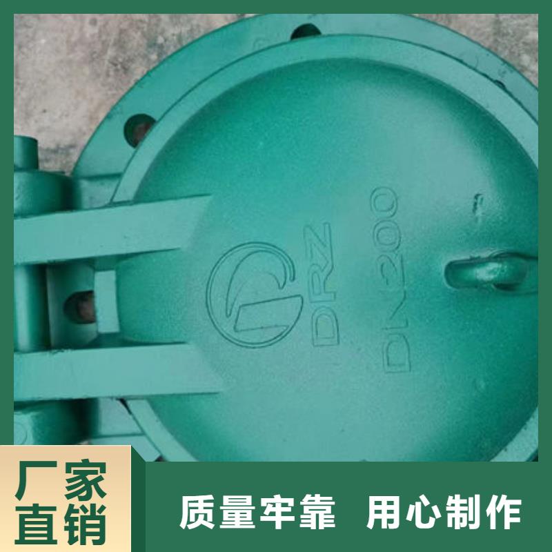 拍门,钢拍门专业生产厂家