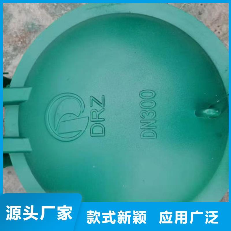 拍门钢制拍门源头采购