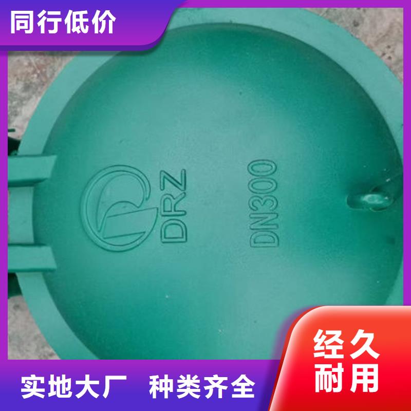 拍门_钢制拍门免费询价