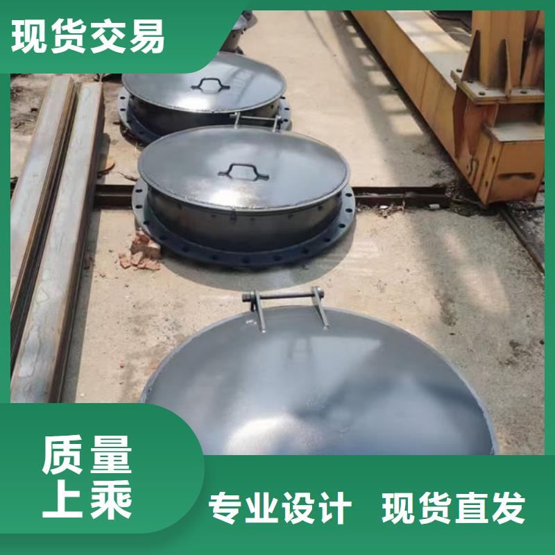 拍门球墨铸铁拍门质量为本