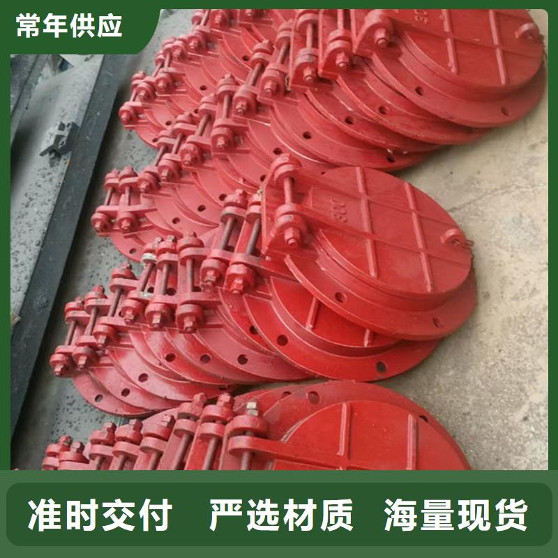 拍门-拍门品牌大厂家