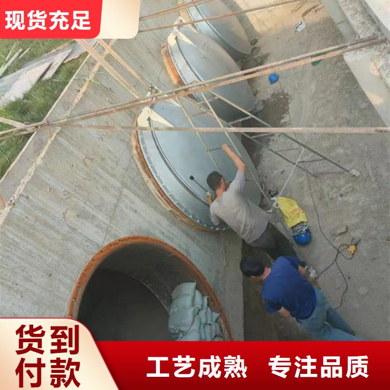 拍门球墨铸铁拍门工期短发货快