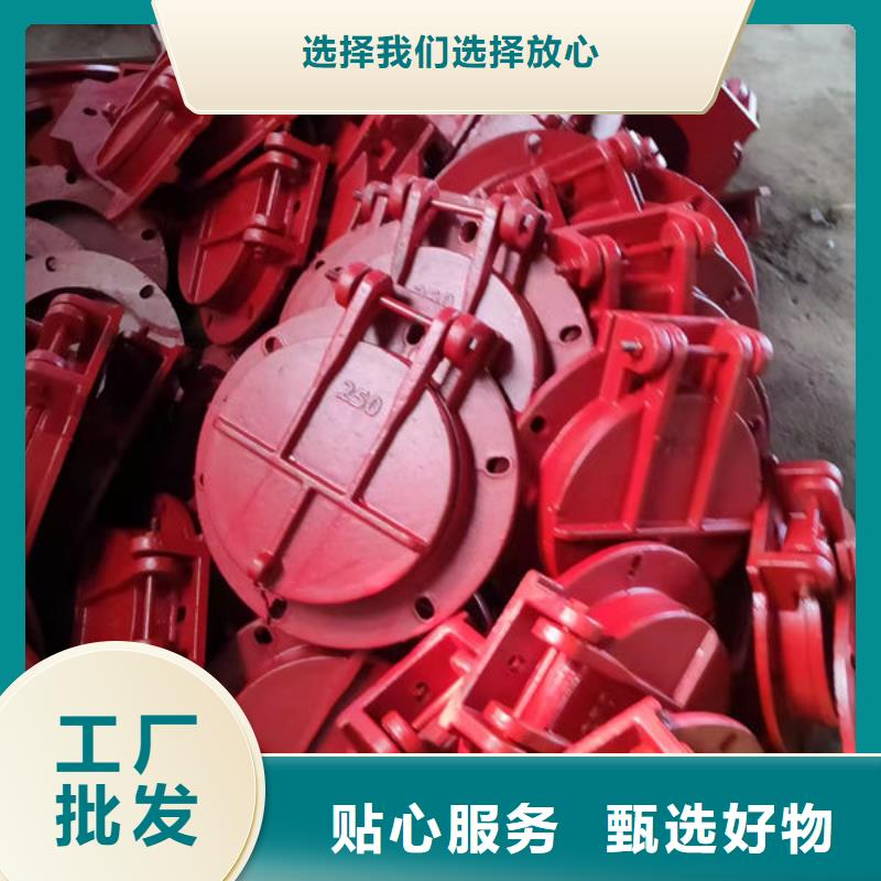 拍门球墨铸铁拍门主推产品