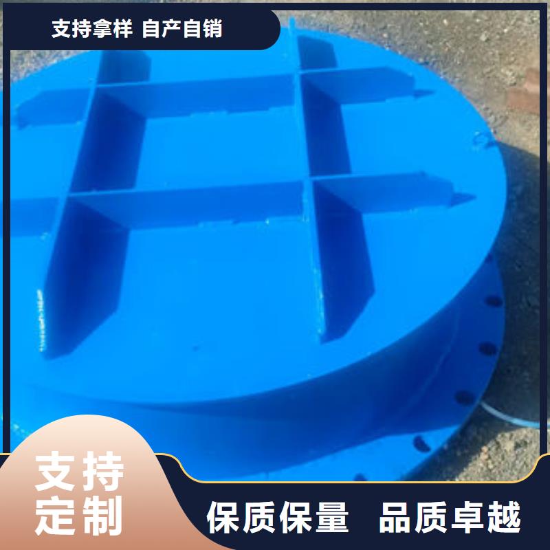 拍门钢制拍门讲信誉保质量