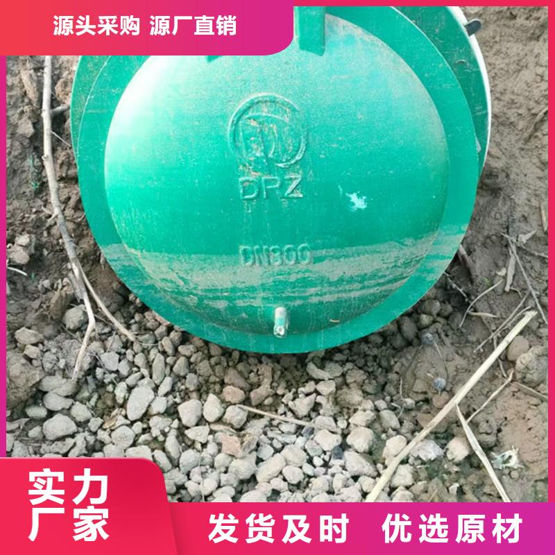 拍门_钢制拍门品质有保障